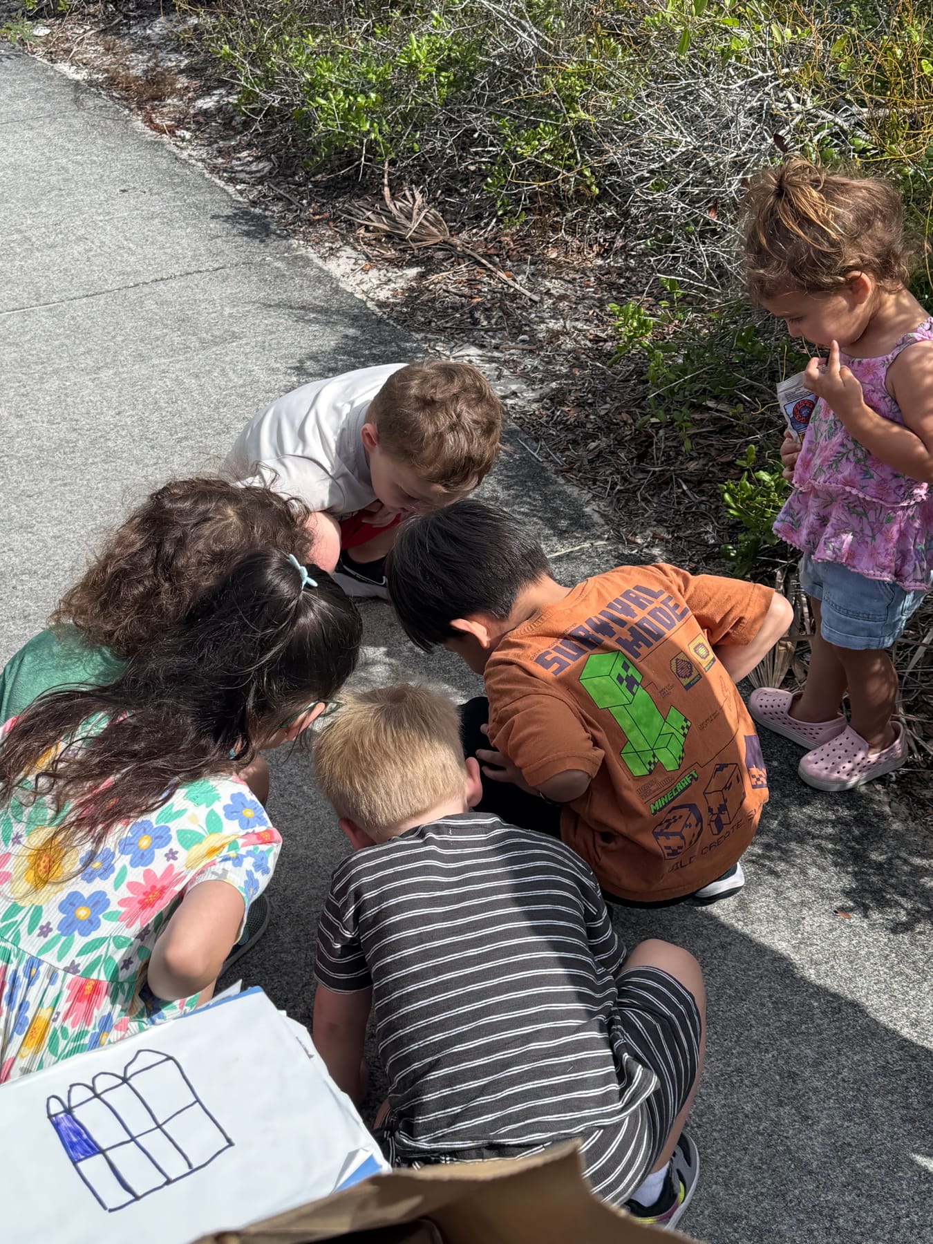 Gathered around a shared discovery