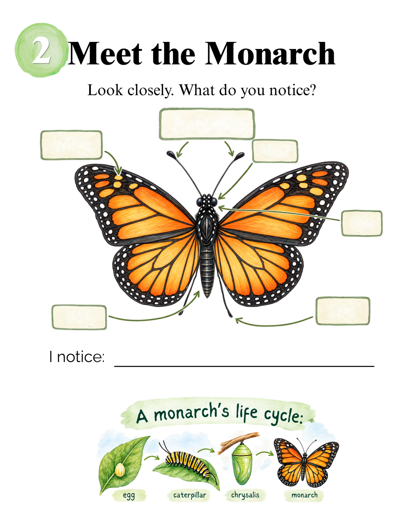 Monarch Migration Nature Journal — sample page